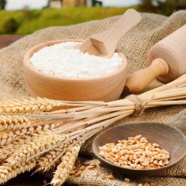 Wheat Maida