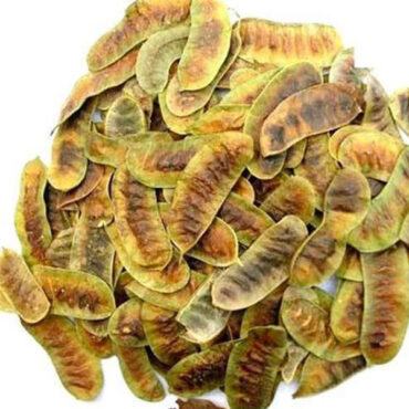 Senna Pods