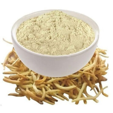 Safed Musli