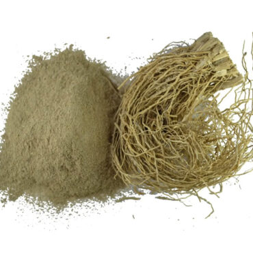 Vetiver