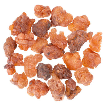 Commiphora Wightii