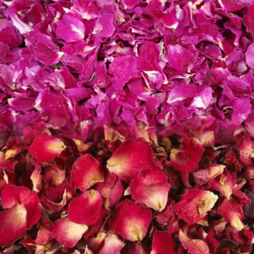 Dry Rose Petal