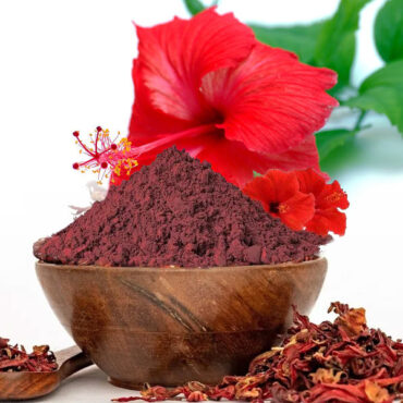 Hibiscus