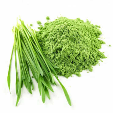 Barley Grass
