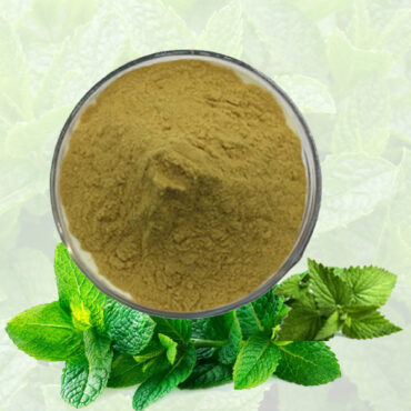 Spearmint