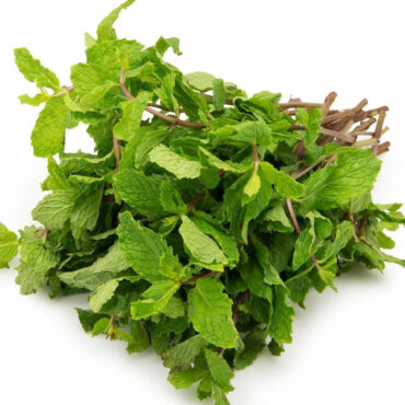 Mint Leaves