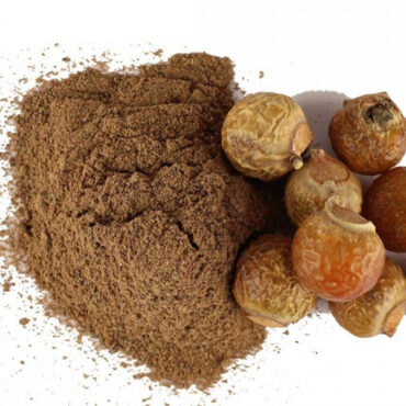 Soapnut