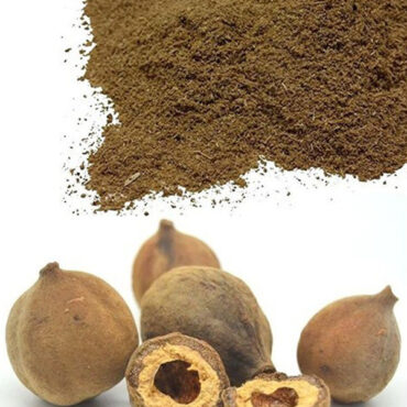 Bibhitaki