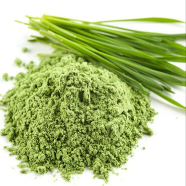Wheatgrass