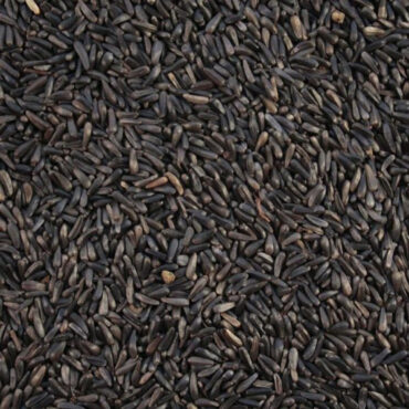 Niger Seeds