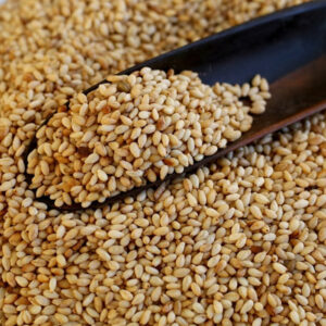 Barley Flour