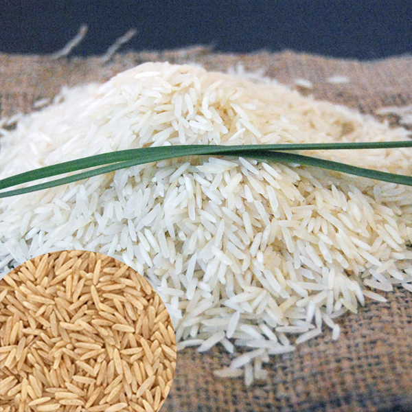 Barley Flour