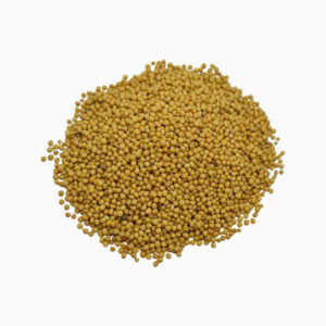 Barley Flour